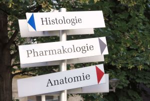 Wegweiser Vorklinik 2